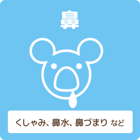 鼻 くしゃみ、鼻水、鼻づまりなど