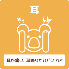 耳 耳が痛い、耳鳴りがひどいなど
